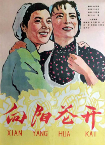 91视频入口